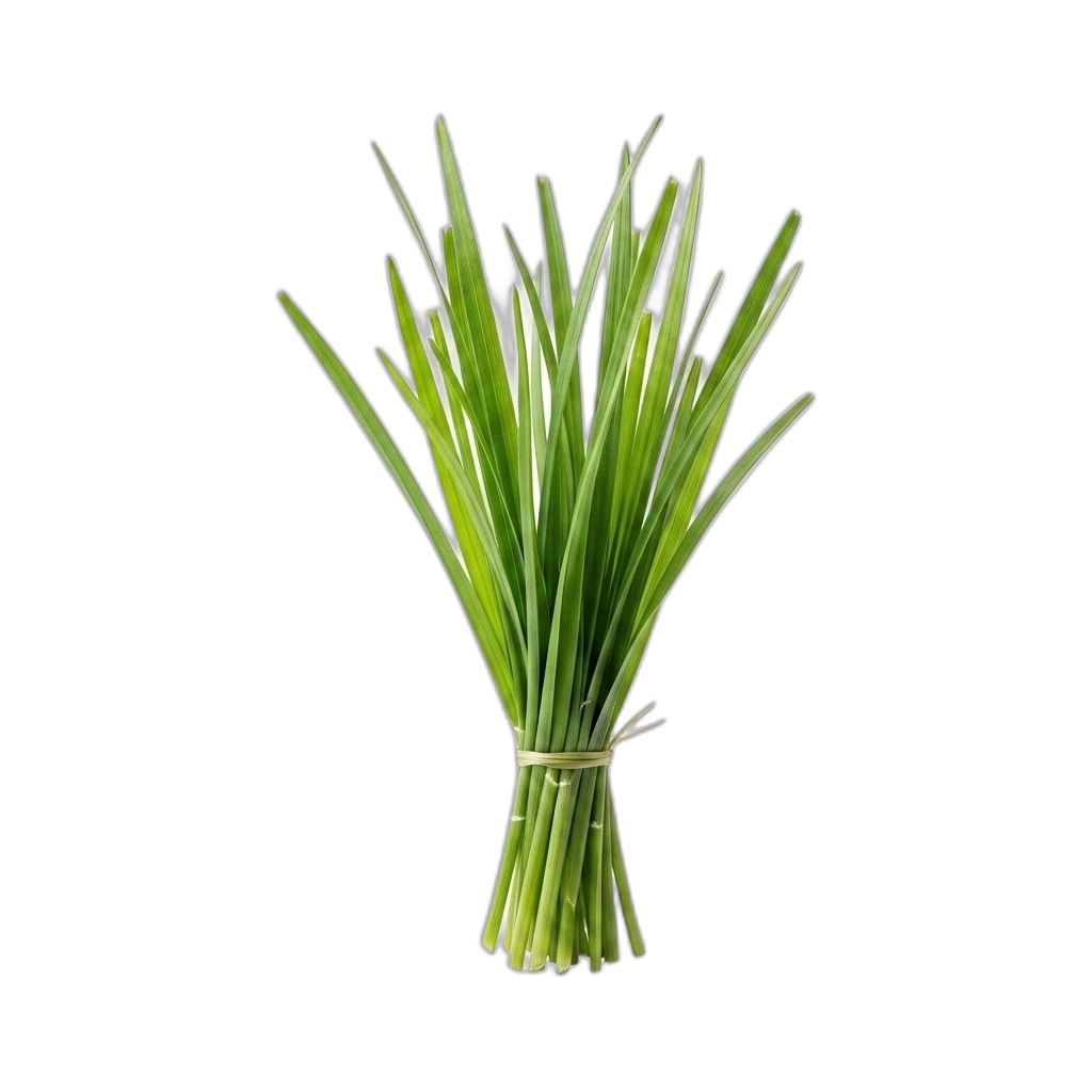 Cut grass
