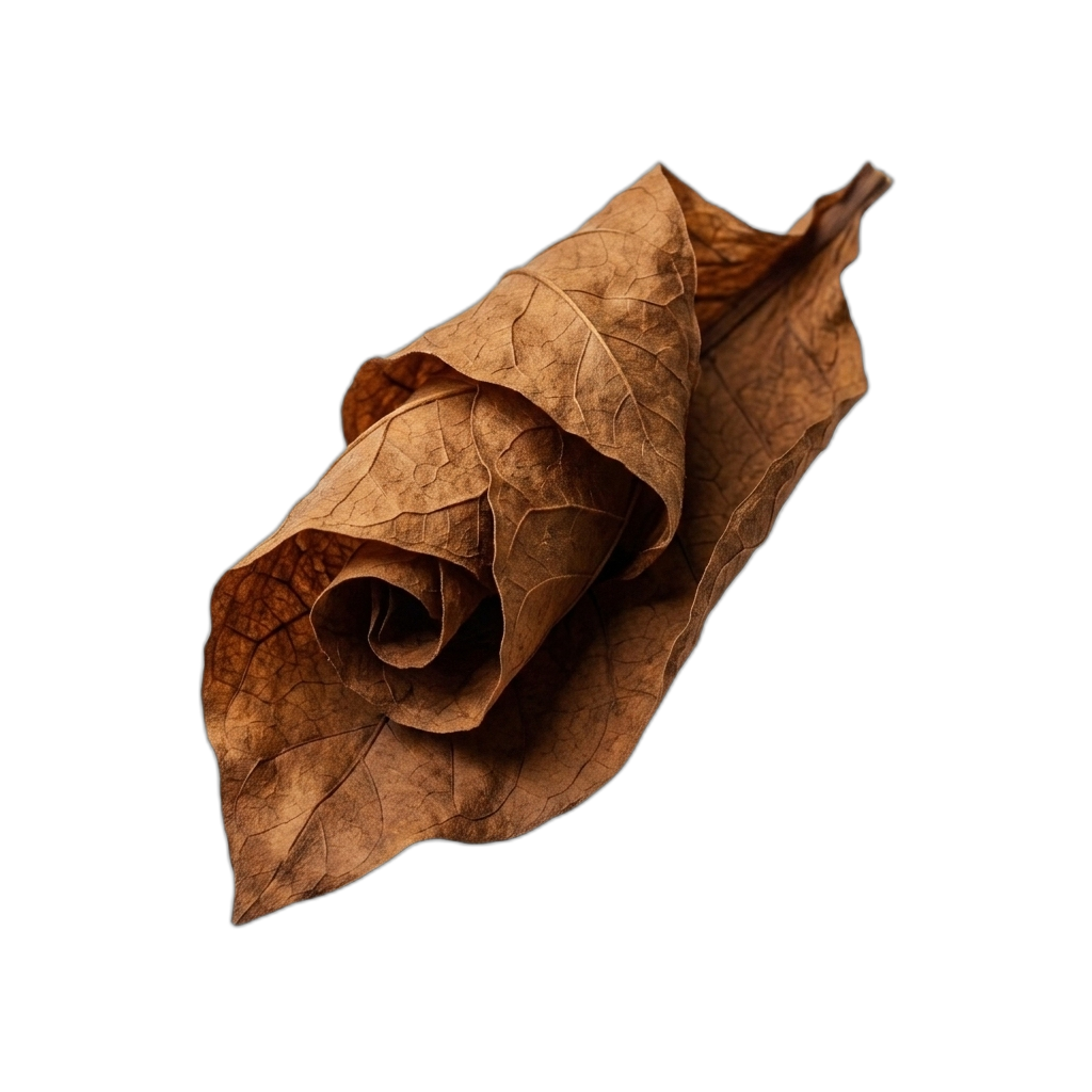 Tobacco